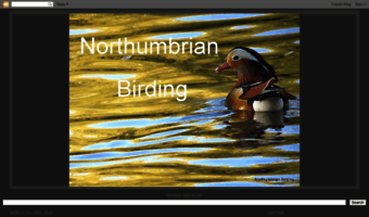 northumbrianbirding.blogspot.com