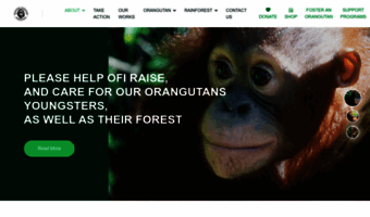 orangutan.org