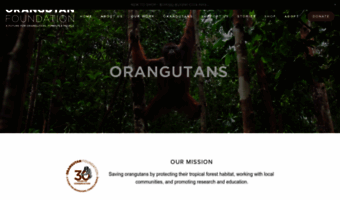 orangutan.org.uk