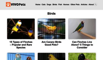 parrot-and-conure-world.com