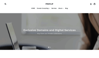 proflip.com
