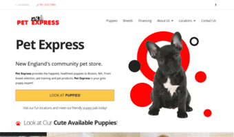 puppies.petexpressboston.com