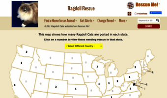 ragdoll.rescueme.org