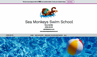 seamonkeysswimschool.co.uk