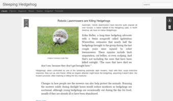 sleepinghedgehog.com