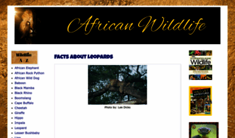 southafrican-wildlife.blogspot.com