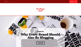 thebloggerguide.com
