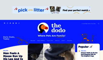 thedodo.com