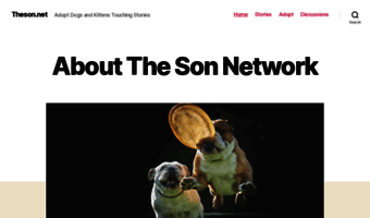 theson.net