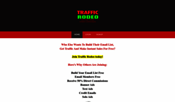 traffic-rodeo.com