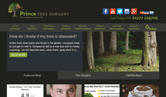 treesurgeryshenfield.co.uk