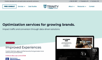trinityinsight.com