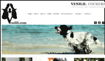 venilil.com