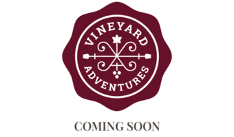 vineyardadventures.com
