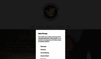 virtualpreacher.org