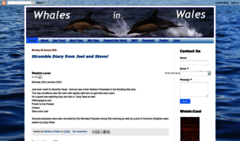 whaleswales.blogspot.com