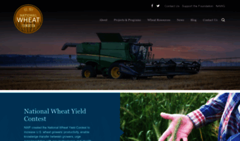 wheatfoundation.org