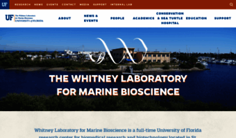 whitney.ufl.edu