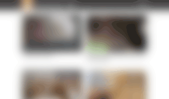 kitten.venuspets.com